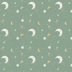 Among the Stars - Sage