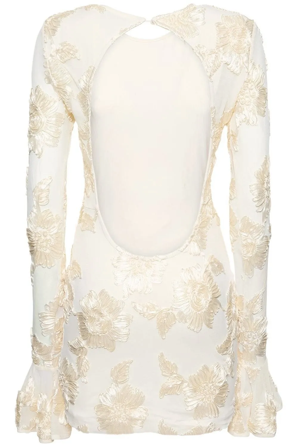 Aurora Embroidered Backless Mesh Mini Dress