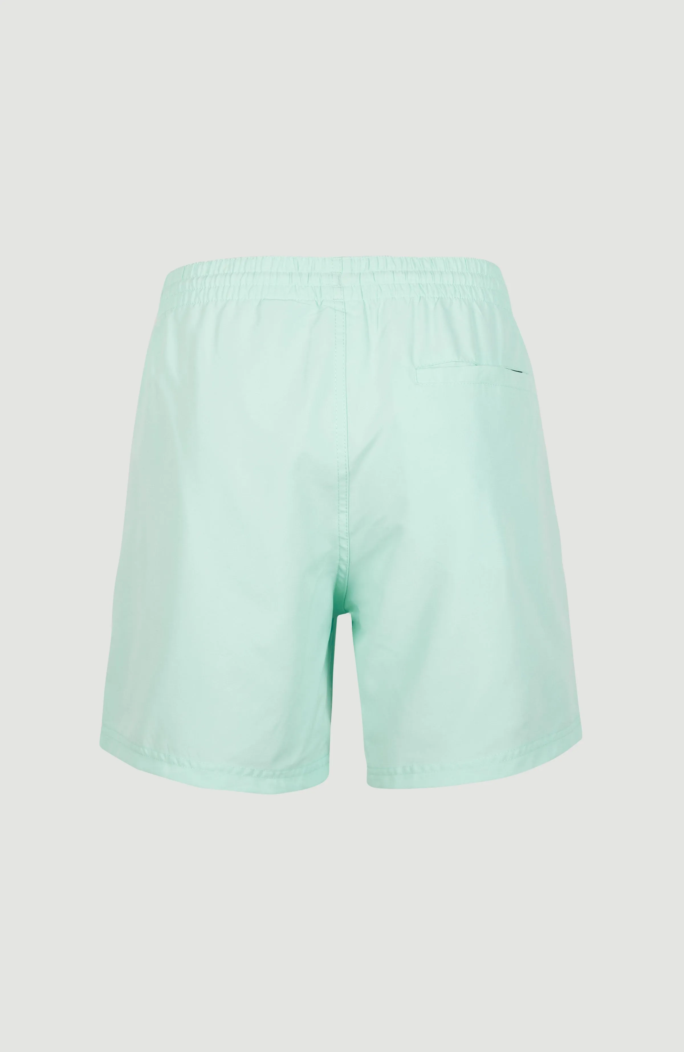 Cali Swim Shorts | Beach Glass
